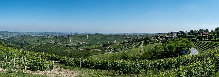 Langa of Barbaresco Landscape